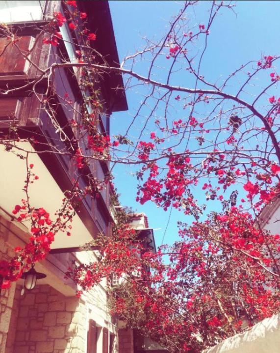 Alayaz Hotel Alacatı Bagian luar foto