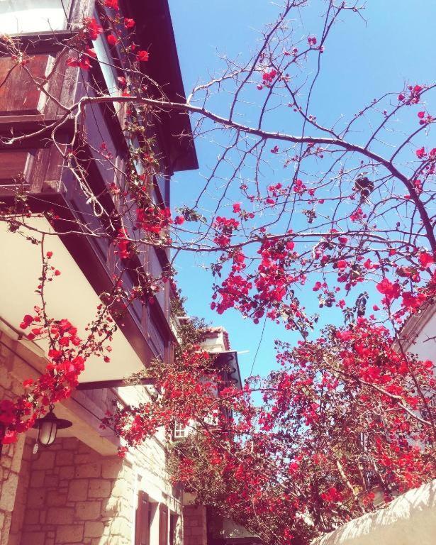 Alayaz Hotel Alacatı Bagian luar foto