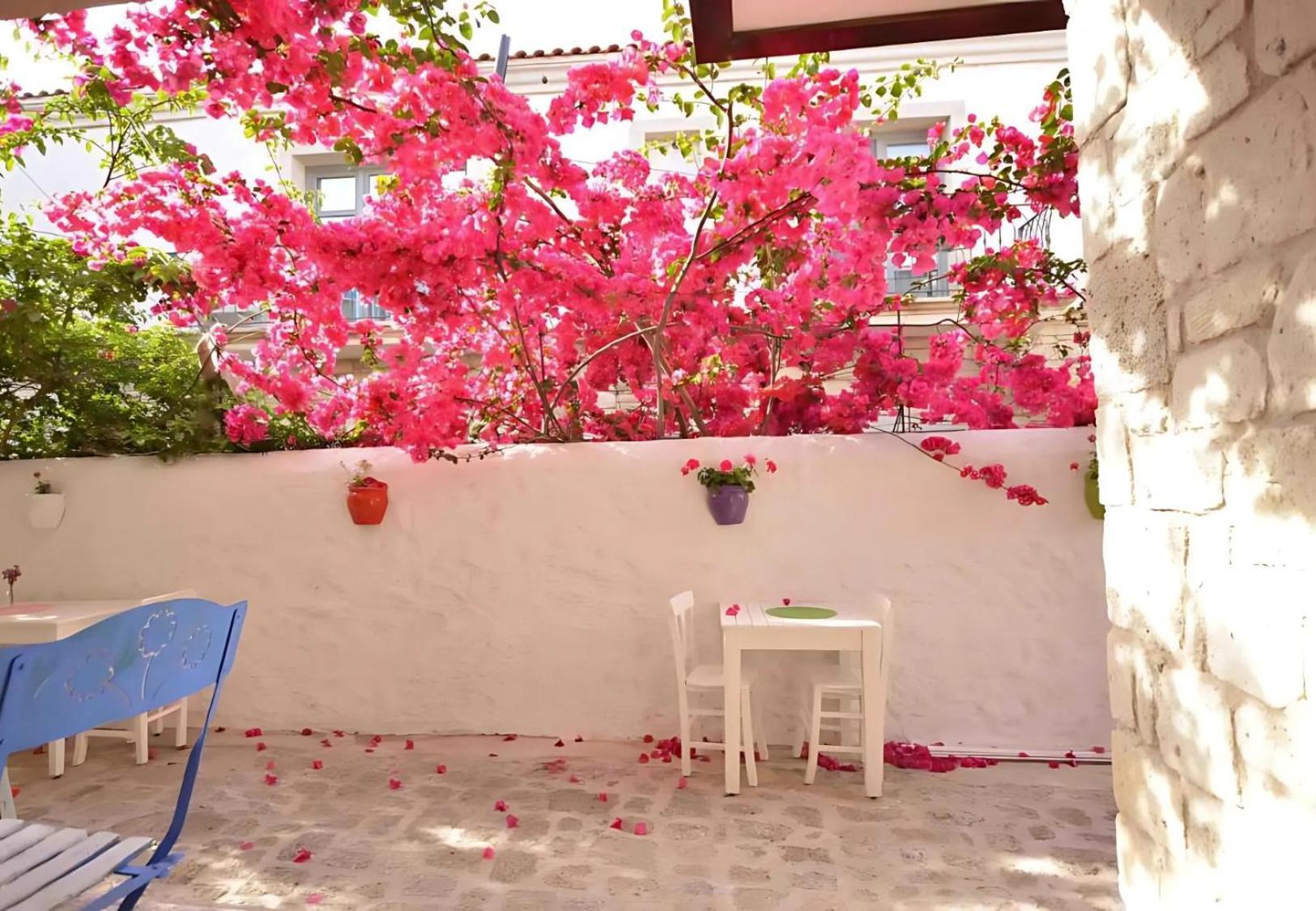 Alayaz Hotel Alacatı Bagian luar foto
