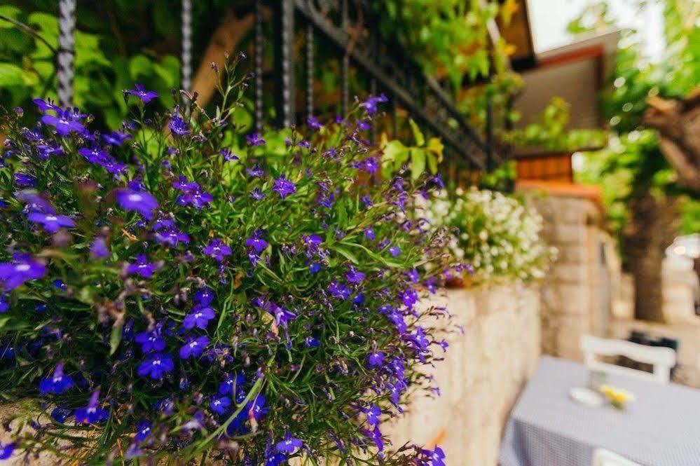 Alayaz Hotel Alacatı Bagian luar foto